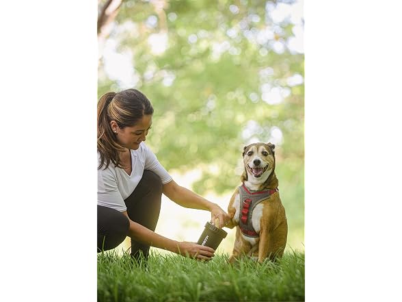 Dexas Medium Dog Paw Cleaner, Matte Black