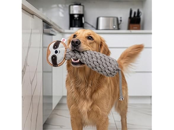 SPOT Dura-Fused Colors Leather Bottle Cruncher Sloth Dog Toy