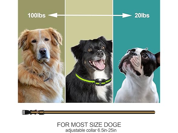 Safe Training E-Collar for Dogs Black