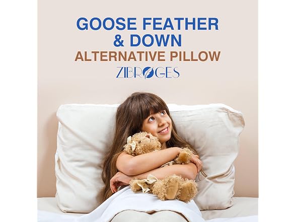 zibroges Feather Pillows Queen Set of 2