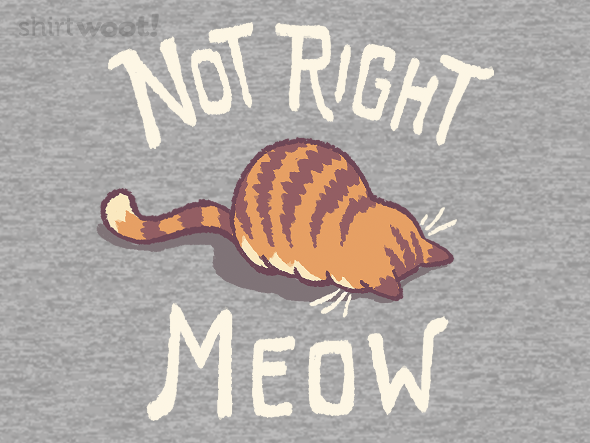 Not Right Meow - Gallery 4