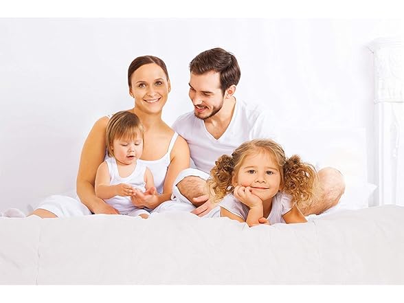 Plush Faux Fur Throw Pillow 2 Pack