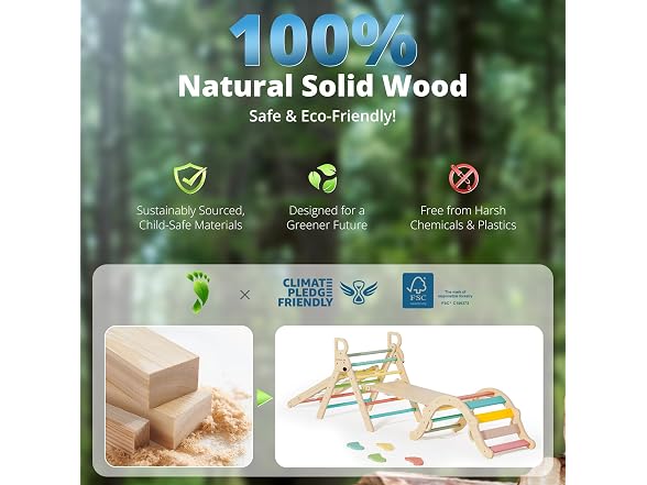 BlueWood 10-in-1 Pikler Triangle Set