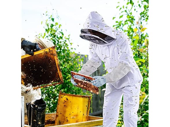 LYHZLBAY Bee Suit, XXL