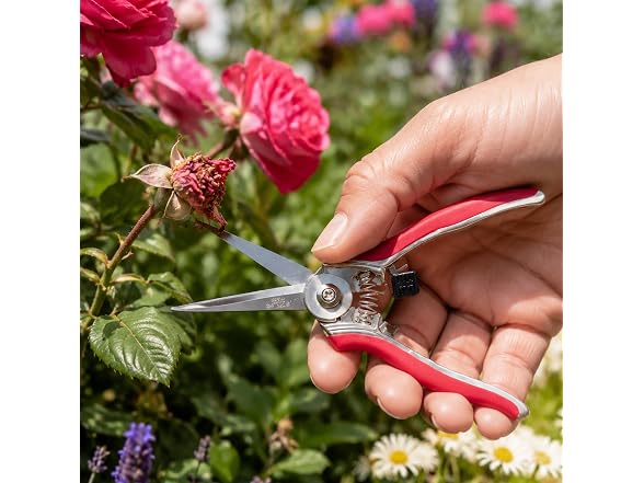 Stainless Steel Garden Snip, 6.75"