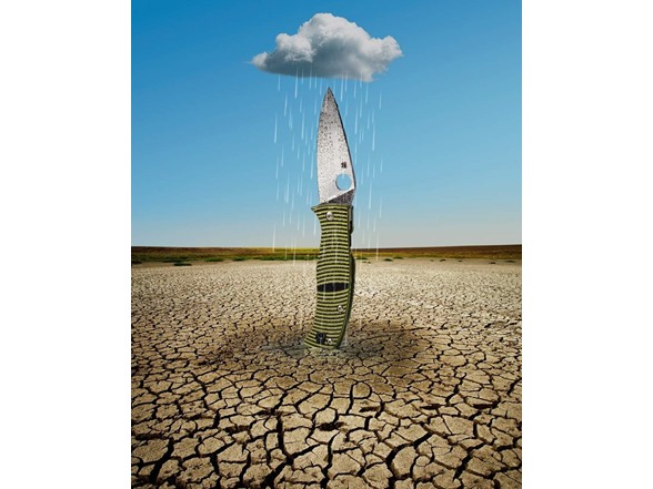 Spyderco Caribbean Folding Knife