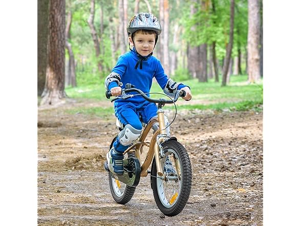 YUNSCM 16" Bike Tires & Tubes Set, 2-Pack