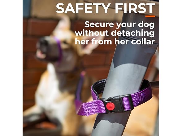 Canny Connect Leash - Anti Pull Dog Leash, Red