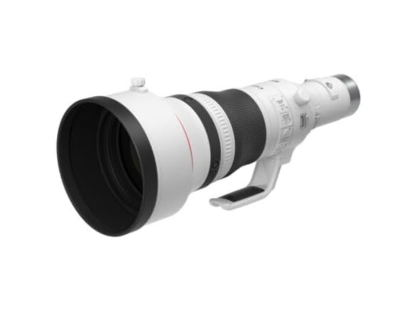 (NEW) Canon RF800mm F5.6 L IS USM Lens