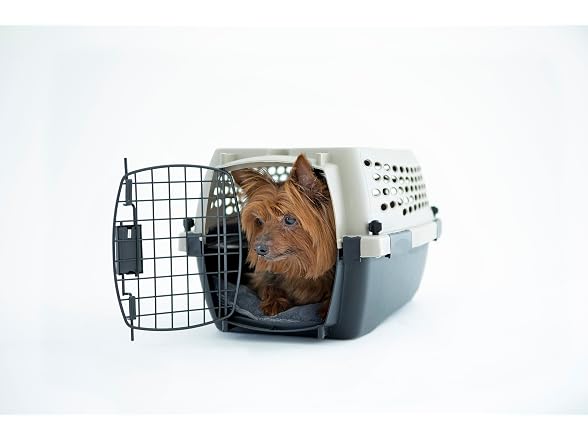 Petmate Vari Dog Kennel, Carrier, XS 19in