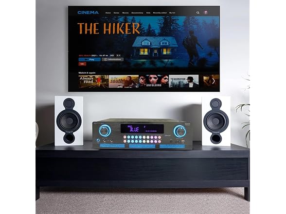Technical Pro Dual-Channel Pro Amplifier 3000W