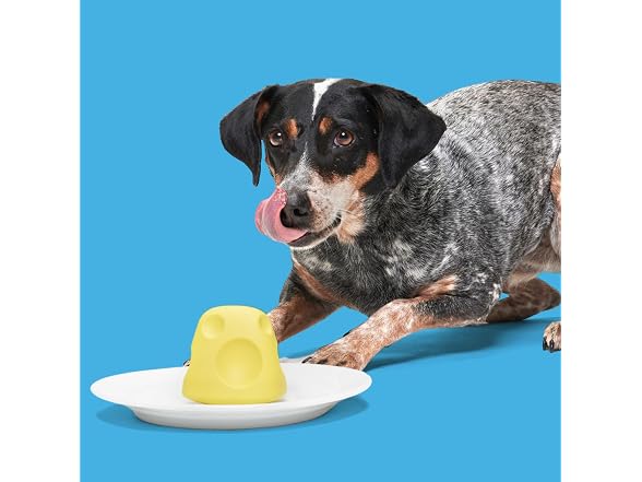 BarkBox Cheese Dog Toy | Treat-Dispensing
