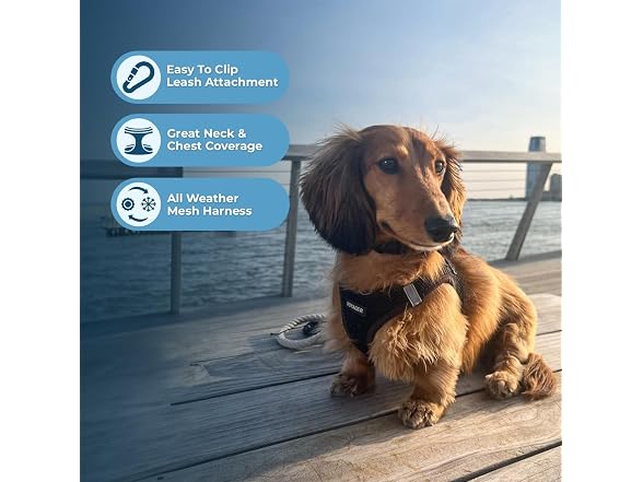 Voyager Step-in Air Dog Vest Harness