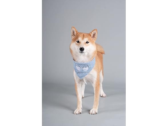 Touchdog ® 'Dizzy-Eyed Pet Bandana