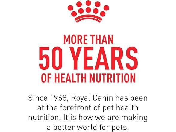 24Pk Royal Canin Feline Care Nutrition Digestive