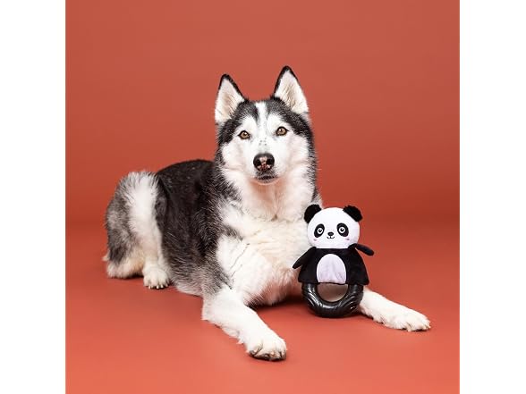 Fringe Studio Rubber Dog Toy, STU-Panda-OUS!