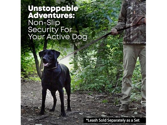 Regal Dog Products Waterproof Dog Collar, Vi