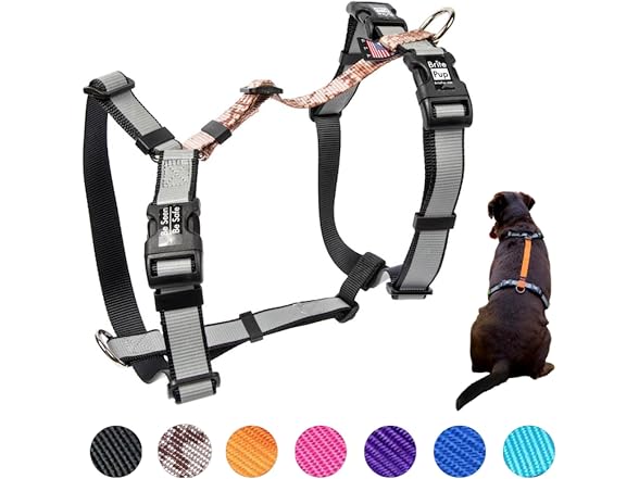 No Pull Harness with Fully Customizable Fitm