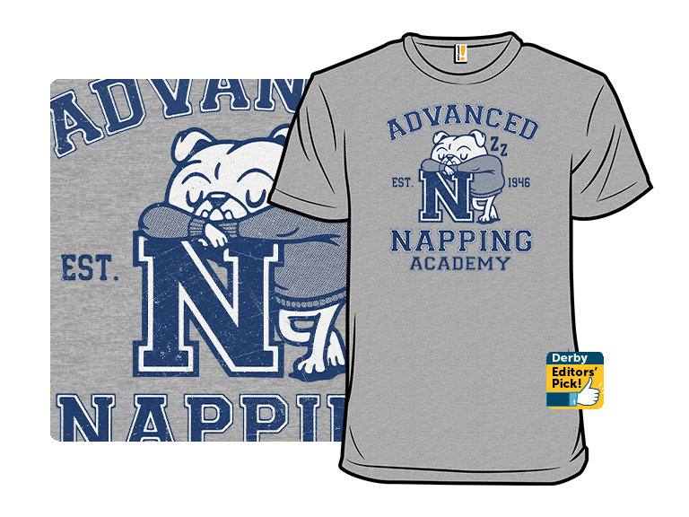 Advanced Napping Academy