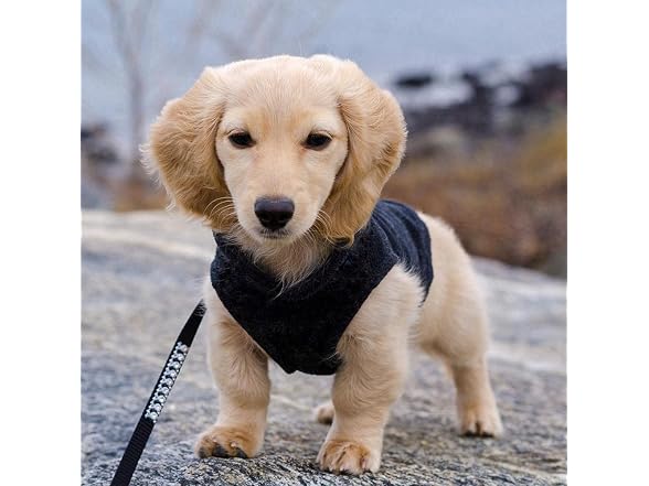 Gooby Fleece Vest Dog Sweater, Black, X-Small