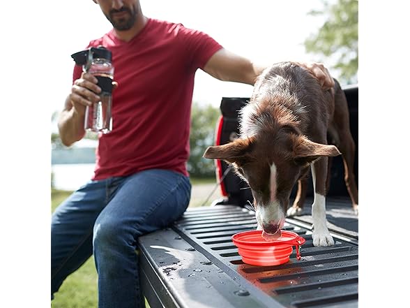 Franklin Pet Supply - Collapsible Pet Travel Bowl