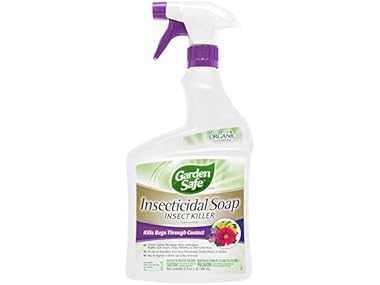 $19.99, Was $59.99, 66% Off! Garden Safe Brand Insecticidal Soap Insect Killer, 3PK dealfomo