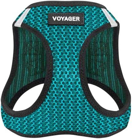 Best Pet Supplies - All Weather Mesh, Reflective, No Pull Harness for Small, Medium Dogs, Cats - Secure with Hook & Loop Fastener, Buckle, Double D-Rings - Turquoise 2-Tone, L