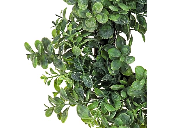 National Tree Company 16" Fern Wreath