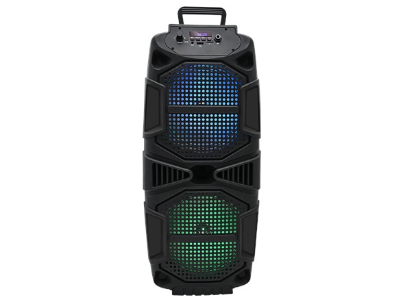 Portable dual 8'' Bluetooth Speaker