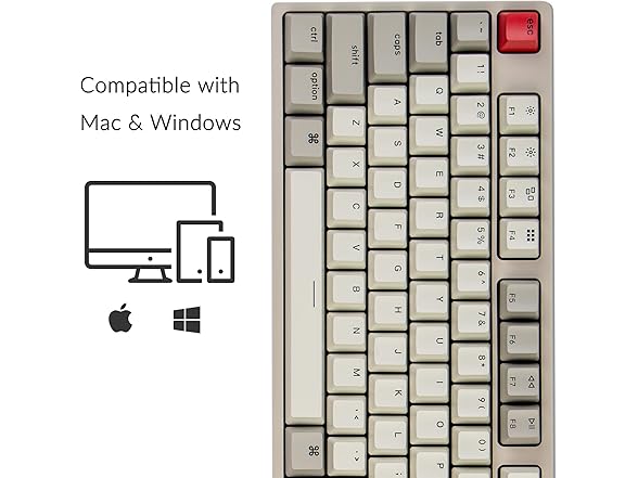 Keychron C2 Full Size Wired Mechanical Keyboard