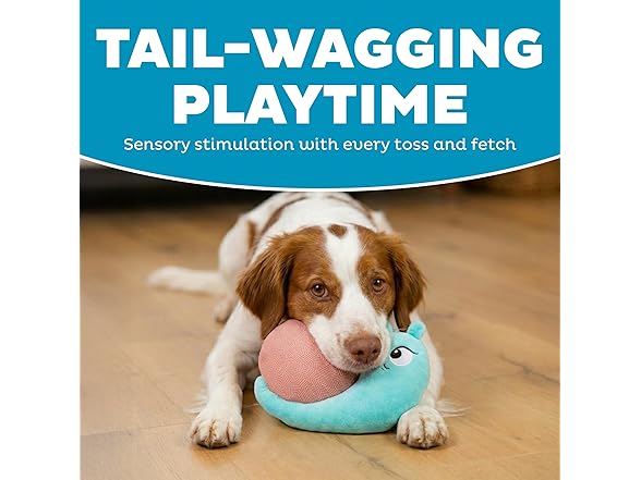 Outward Hound Coated Critterz Dog Toy Snail