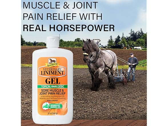 Absorbine Veterinary Liniment Topical Analgesic Sore Muscle