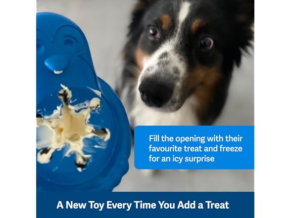 PetSafe Freezable Treat Food Dispensing Chew 