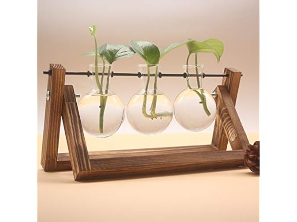 Water Planting Glass Vase w/Wood Stand