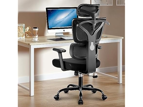 Winrise Office Chair Ergonomic Desk Chair, High Back Gaming  (Open Box)