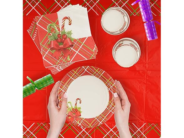 Christmas Party Supplies Set 141-Piece