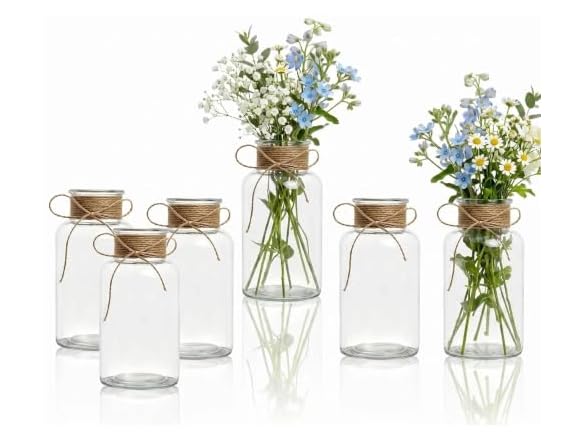 Sawoake Mini Bud Vases Set of 12 As
