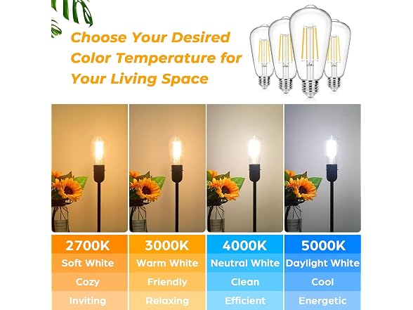 Sucolite B0CNQW9G4R 12-Pack Vintage LED Edison Bul