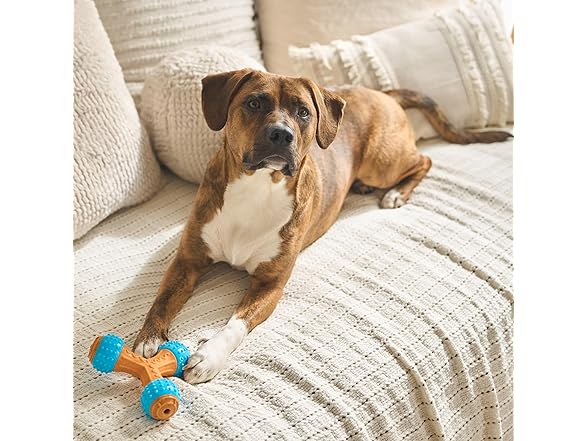 SPOT Bam-Bones PLUS Gigglers Dog Toy