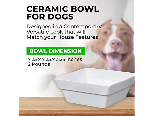 Bowsers Replacement Bowl for Replus Meshidai El