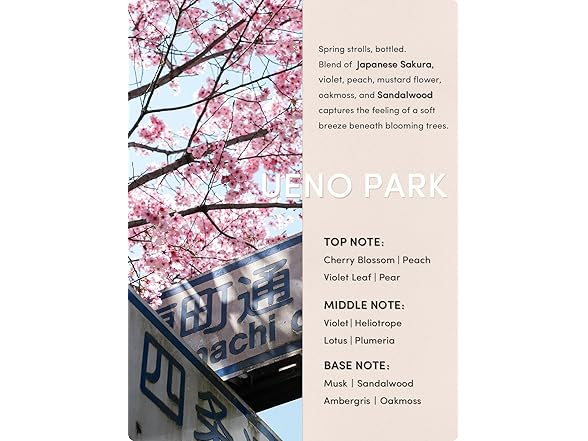 Kustie Sakura Floral Body Wash 16.9 fl oz