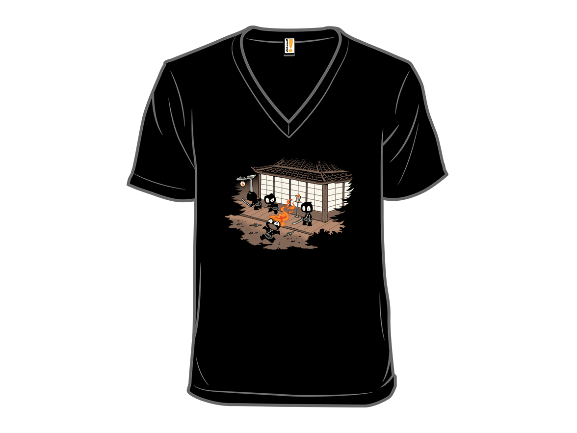 2011: Unstealthiest Ninja - Gallery 10