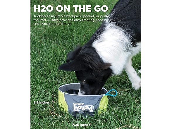 Outward Hound Port-A-Bowl Portable Dog Dish, 48 oz