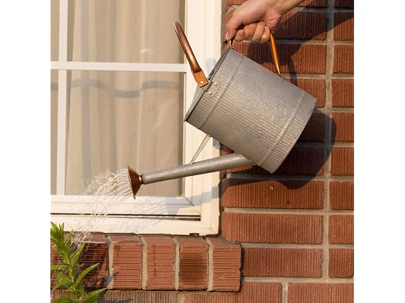 HORTICAN 1 Gallon Metal Watering Can
