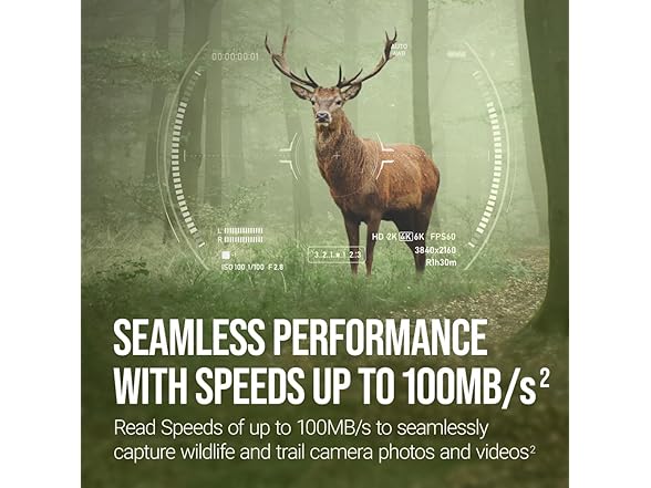 PNY 32GB Elite Class microSDHC Card (3-Pack)