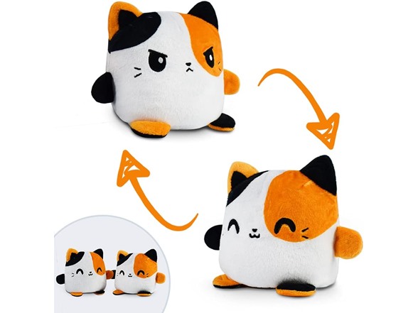 Calico Cat