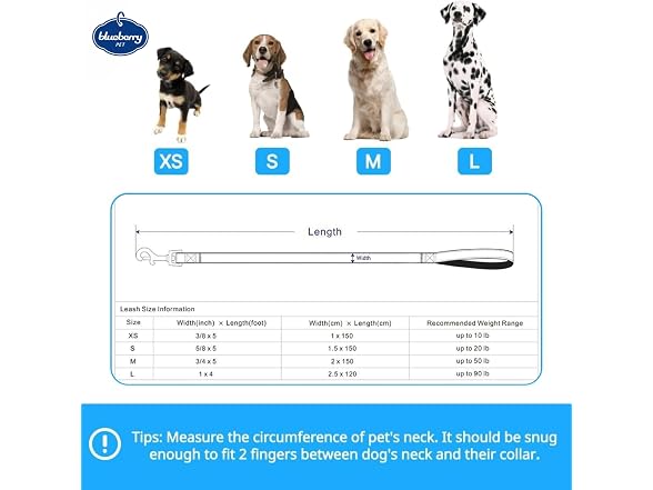 Blueberry Pet Polka Dots Femal Dog Leash for