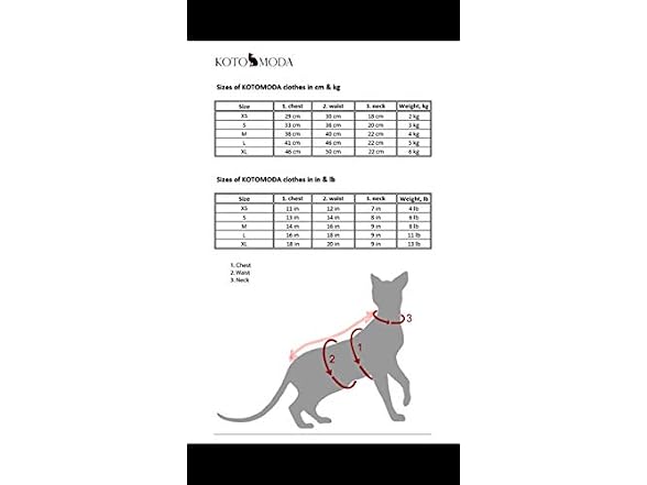 Sphynx Cat's Hoodie Ingrey Naked Cat Hairles