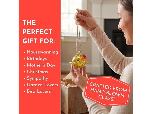 Red Carpet Studios Hummingbird Feeder Glass