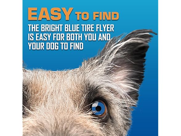 Nerf Dog Tire Flyer Outdoor Dog Toy